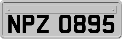 NPZ0895