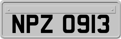 NPZ0913