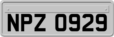 NPZ0929