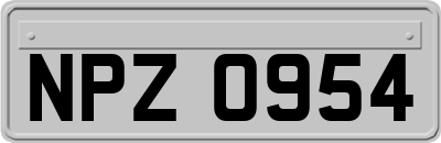 NPZ0954