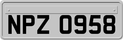 NPZ0958