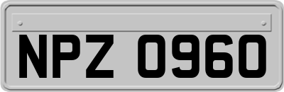 NPZ0960