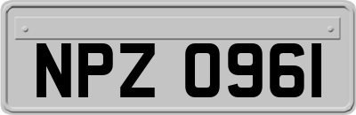 NPZ0961