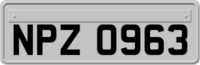 NPZ0963