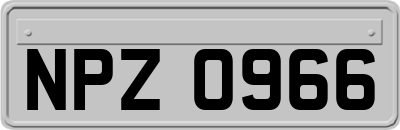 NPZ0966
