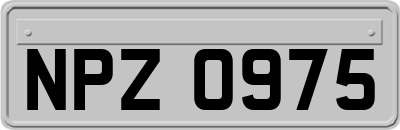 NPZ0975
