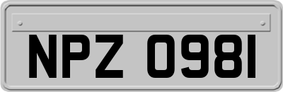 NPZ0981