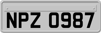NPZ0987