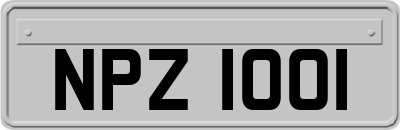 NPZ1001