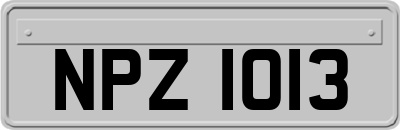 NPZ1013