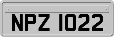 NPZ1022