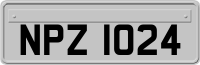NPZ1024