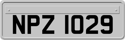 NPZ1029