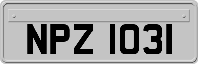 NPZ1031