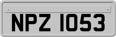 NPZ1053
