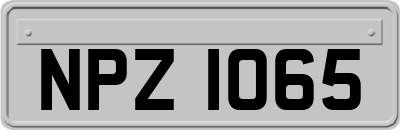 NPZ1065