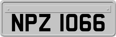NPZ1066