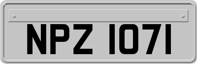 NPZ1071
