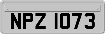 NPZ1073