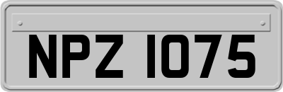 NPZ1075