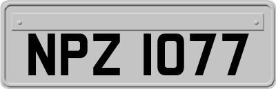 NPZ1077