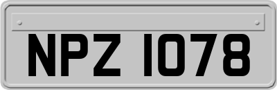 NPZ1078