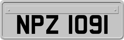 NPZ1091