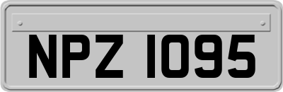 NPZ1095