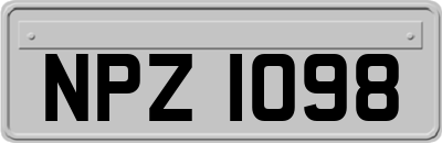 NPZ1098