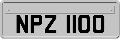 NPZ1100