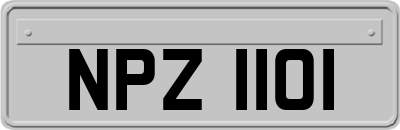 NPZ1101