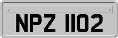 NPZ1102