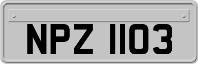 NPZ1103
