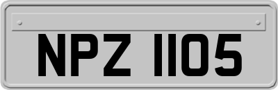 NPZ1105