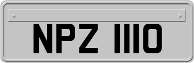NPZ1110