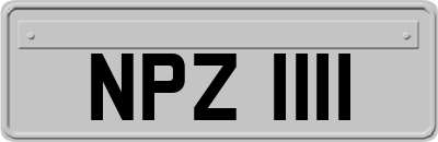 NPZ1111