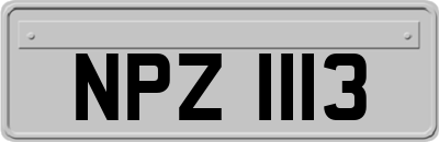 NPZ1113