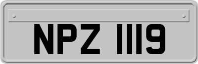NPZ1119