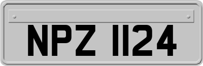 NPZ1124