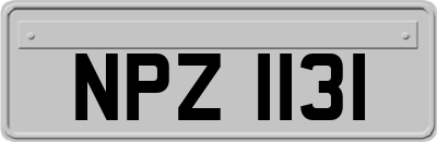 NPZ1131