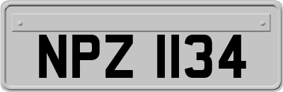 NPZ1134