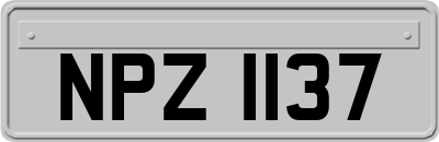 NPZ1137
