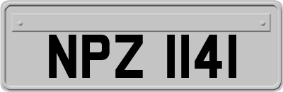 NPZ1141