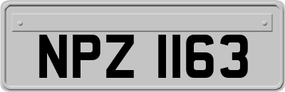 NPZ1163