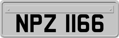 NPZ1166