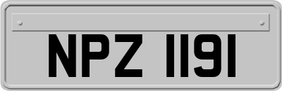 NPZ1191