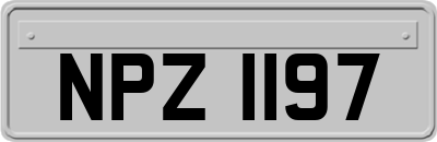 NPZ1197