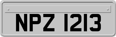 NPZ1213