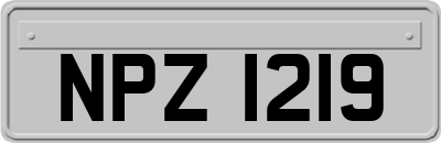 NPZ1219