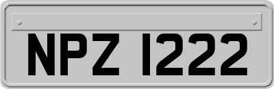 NPZ1222
